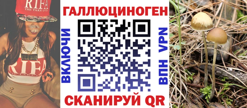 Галлюциногенные грибы Cubensis где можно купить наркотик Талдом